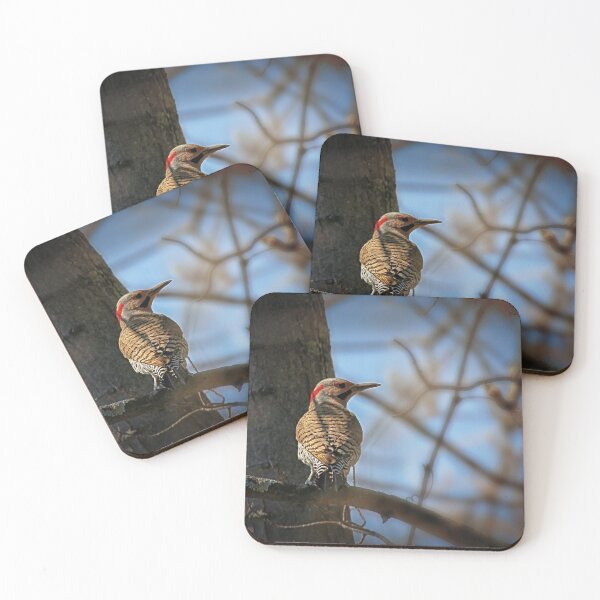 Item preview, Northern Flicker  /  Pic flamboyant   designed and sold by Yannik Hay.