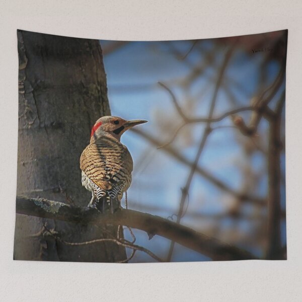 Item preview, Northern Flicker  /  Pic flamboyant   designed and sold by Yannik Hay.