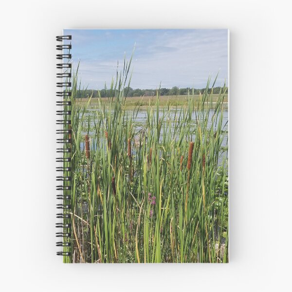 Item preview, Cattails  designed and sold by melzie3.
