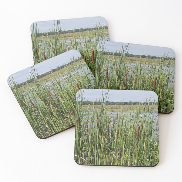 Item preview, Cattails  designed and sold by melzie3.