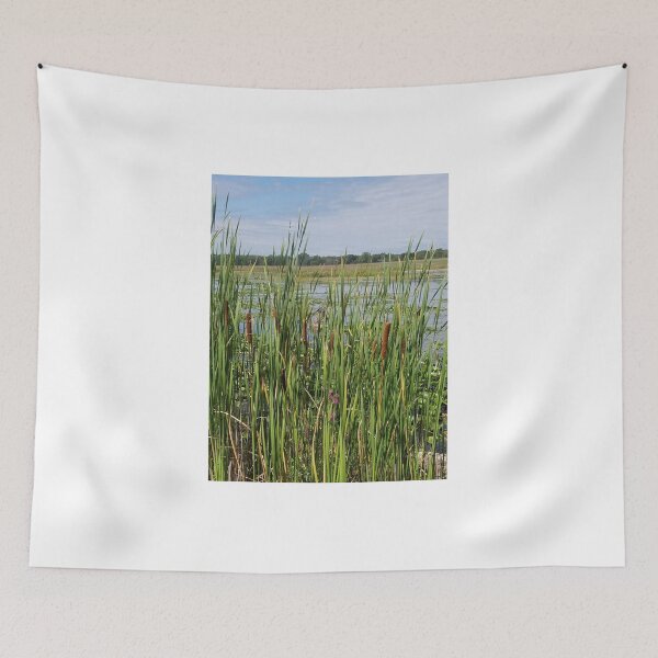 Item preview, Cattails  designed and sold by melzie3.