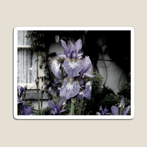 Item preview, Cottage Splendor designed and sold by Jill Holliday.
