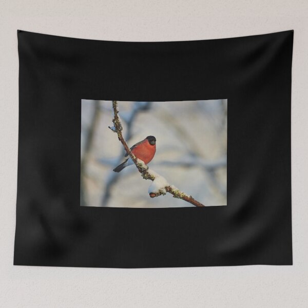 Item preview, Eurasian bullfinch in the morning light designed and sold by Jouko Lehto Photography.