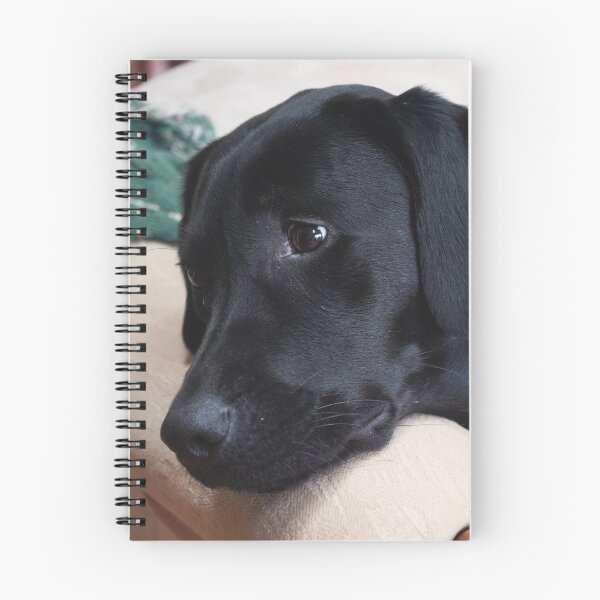 Item preview, Longing designed and sold by Harrisonphoto.