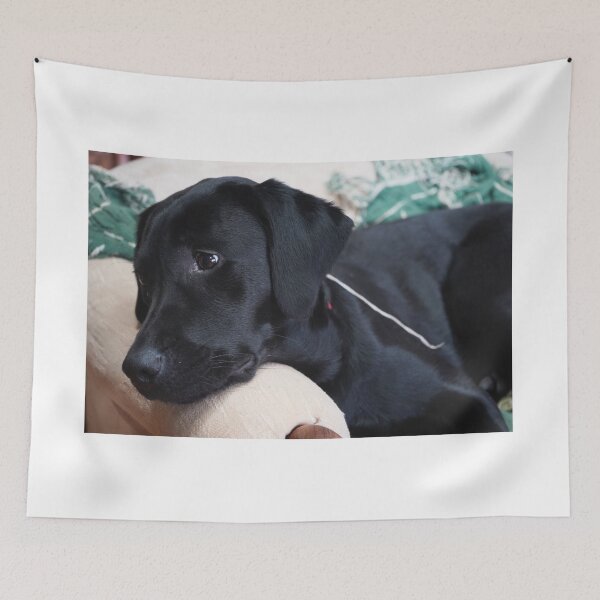 Item preview, Longing designed and sold by Harrisonphoto.
