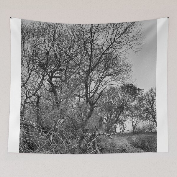 Item preview, Trees At Little Scotney designed and sold by Dave Godden.
