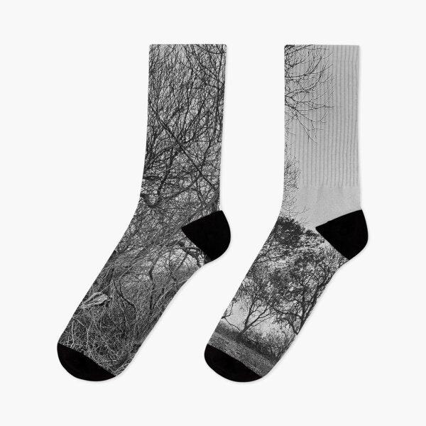 Item preview, Trees At Little Scotney designed and sold by Dave Godden.
