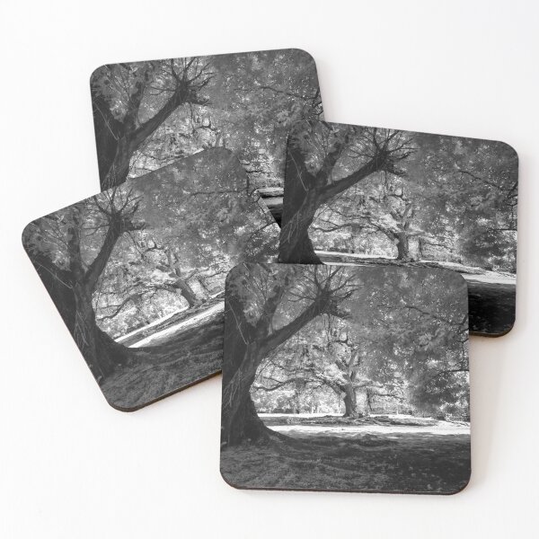 Item preview, Enter the Forest designed and sold by Bernai Velarde.