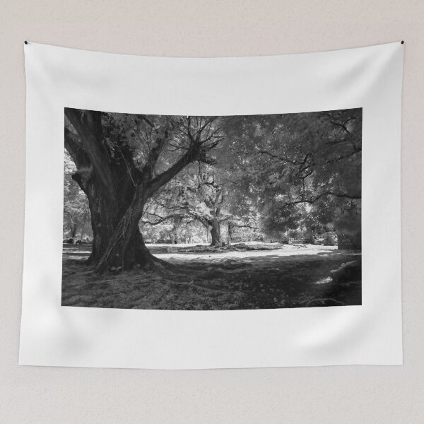Item preview, Enter the Forest designed and sold by Bernai Velarde.
