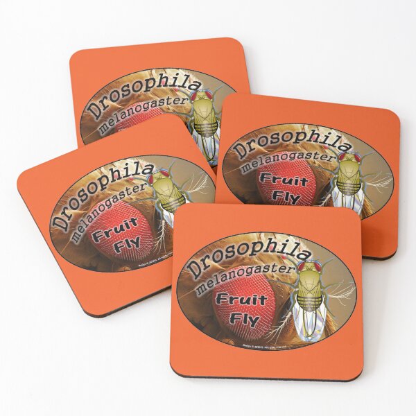 Item preview, Fruit Fly - Drosophila melanogaster designed and sold by 28TEES.