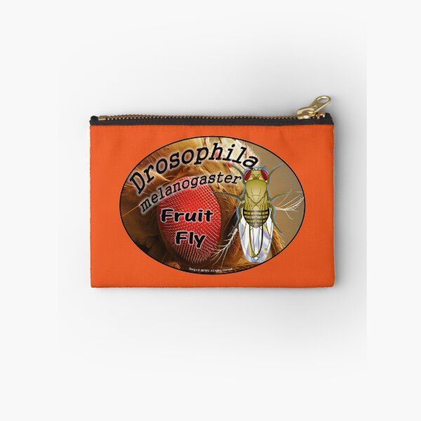 Item preview, Fruit Fly - Drosophila melanogaster designed and sold by 28TEES.