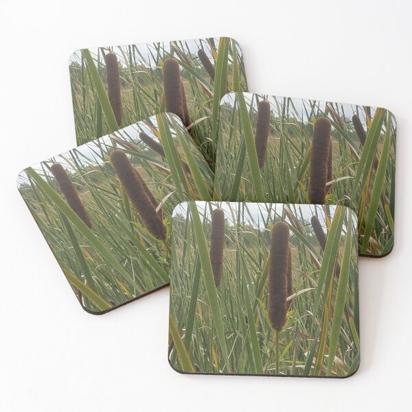 Item preview, Cattails 2  designed and sold by melzie3.