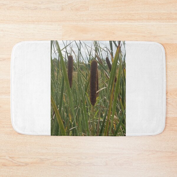 Item preview, Cattails 2  designed and sold by melzie3.