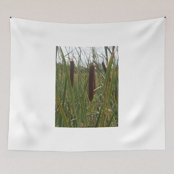 Item preview, Cattails 2  designed and sold by melzie3.