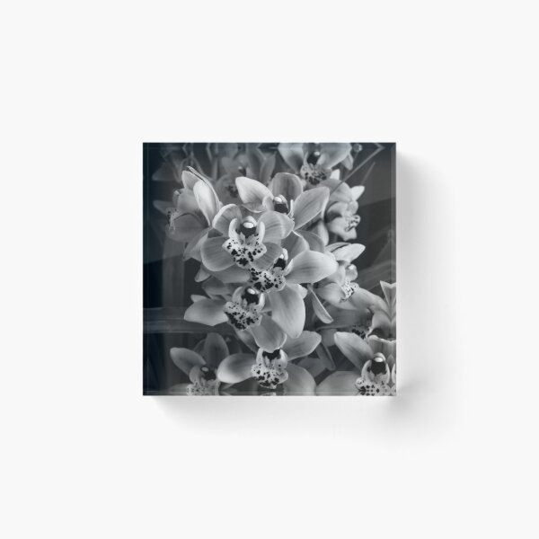 Item preview, Monochrome Orchids designed and sold by foozma73.