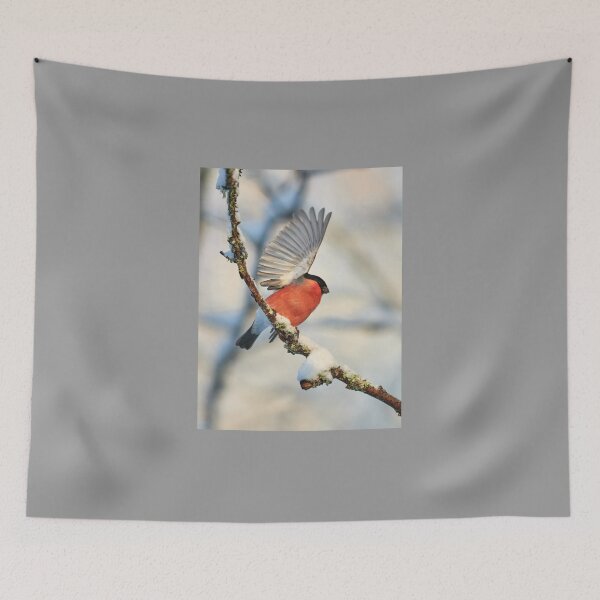 Item preview, Hello sun. Eurasian bullfinch designed and sold by Jouko Lehto Photography.