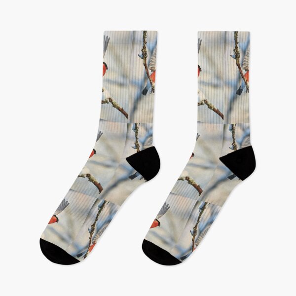Item preview, Hello sun. Eurasian bullfinch designed and sold by Jouko Lehto Photography.