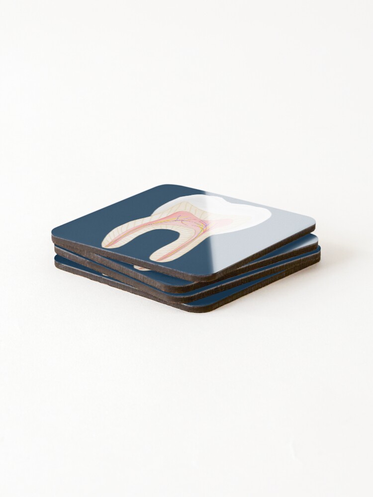 Thumbnail 4 of 5, Coasters (Set of 4), Tooth inside designed and sold by juttatis.