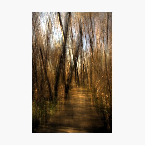 An April afternoon walk Photographic Print