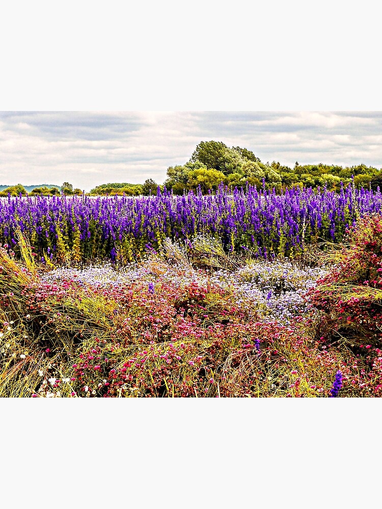 Nature's Canvas by ScenicViewPics