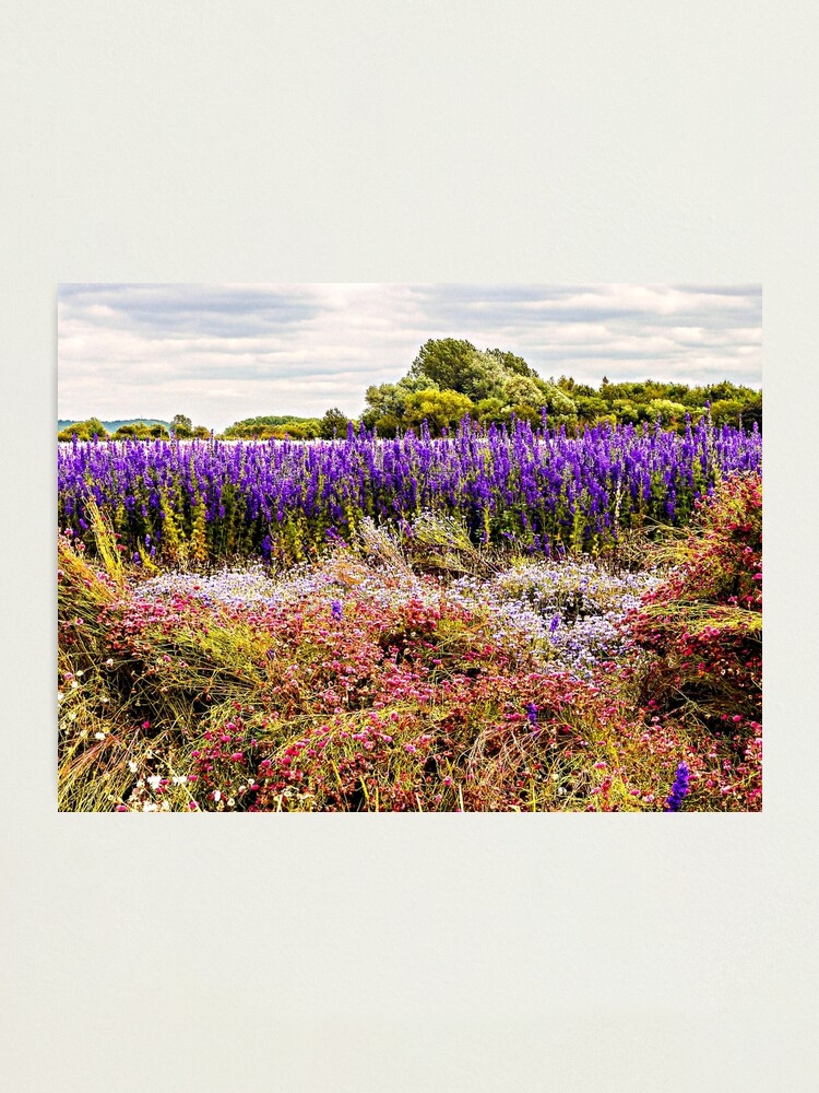 Alternate view of Nature's Canvas Photographic Print