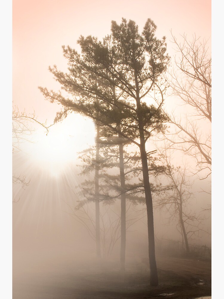 Thumbnail 3 of 3, Poster, In the heart of the pines designed and sold by believer9.