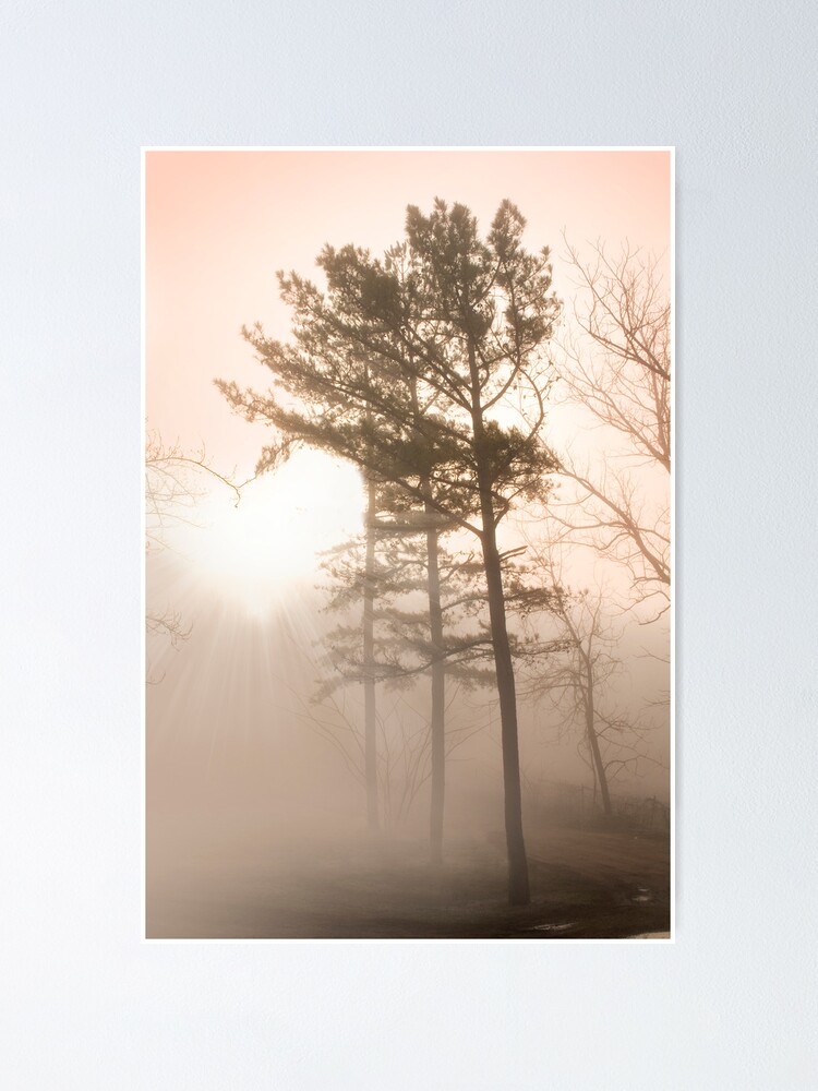 Thumbnail 1 of 3, Poster, In the heart of the pines designed and sold by believer9.