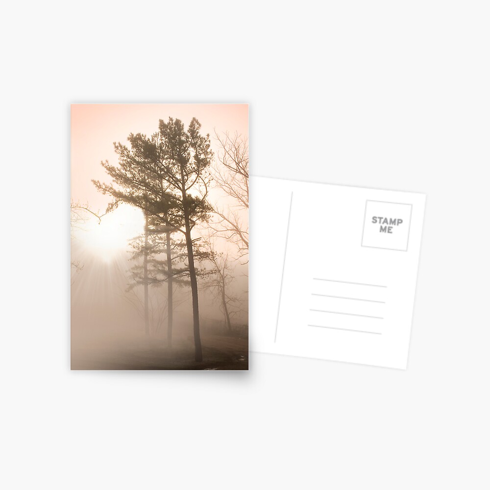 Item preview, Postcard designed and sold by believer9.