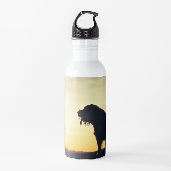 Sunset lookout Spinone Water Bottle