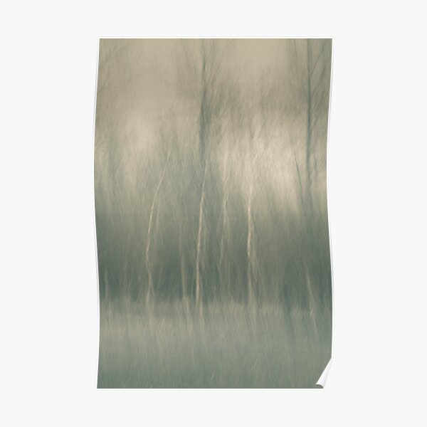 Three Birch Trees Irwin Prairie State Nature Preserve Poster