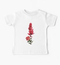 Illustrated Indian Paint Brush Baby Tee