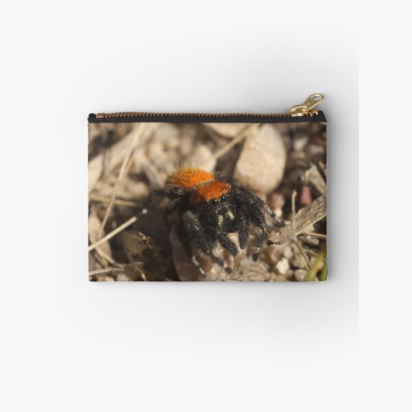 Artikelvorschau, 514 Apache Jumping Spider entworfen und verkauft von ptosis.