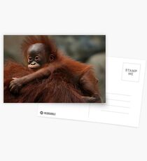 Hitching A Ride Postcards
