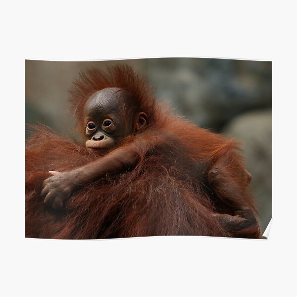 Hitching A Ride Poster