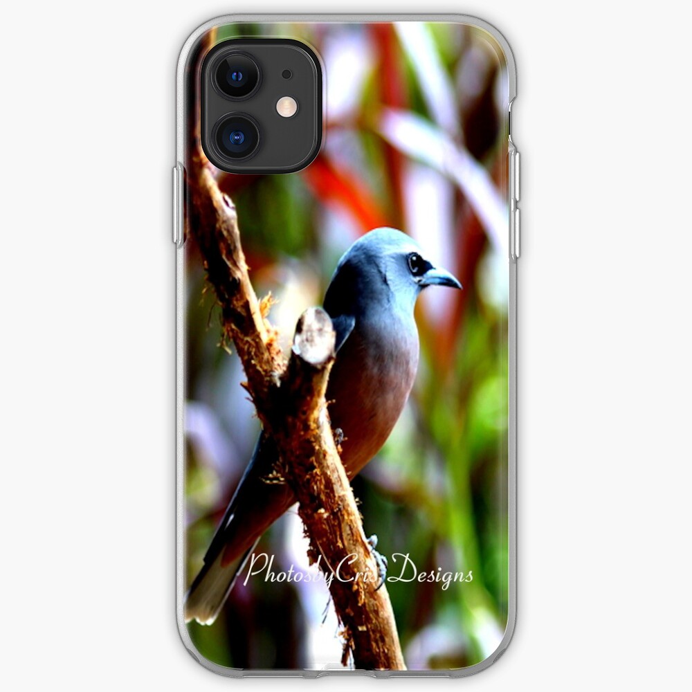Bird of Colours iPhone Case & Cover