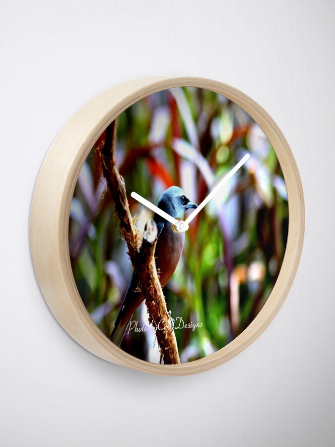 Alternate view of Bird of Colours Clock