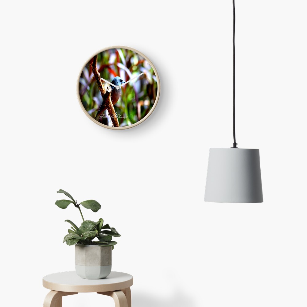 Bird of Colours Clock