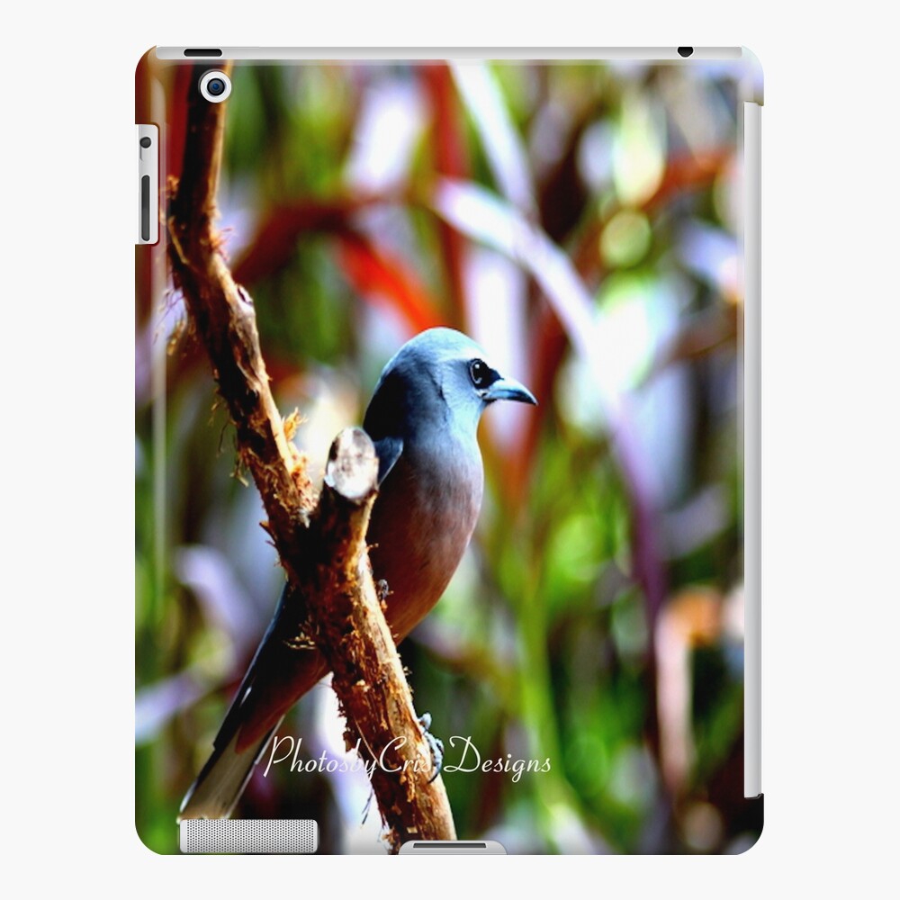Bird of Colours iPad Case & Skin