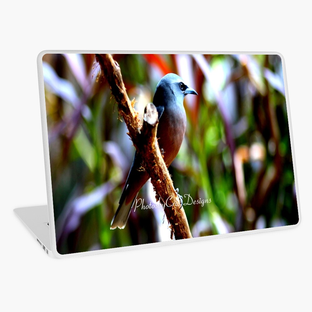 Bird of Colours Laptop Skin