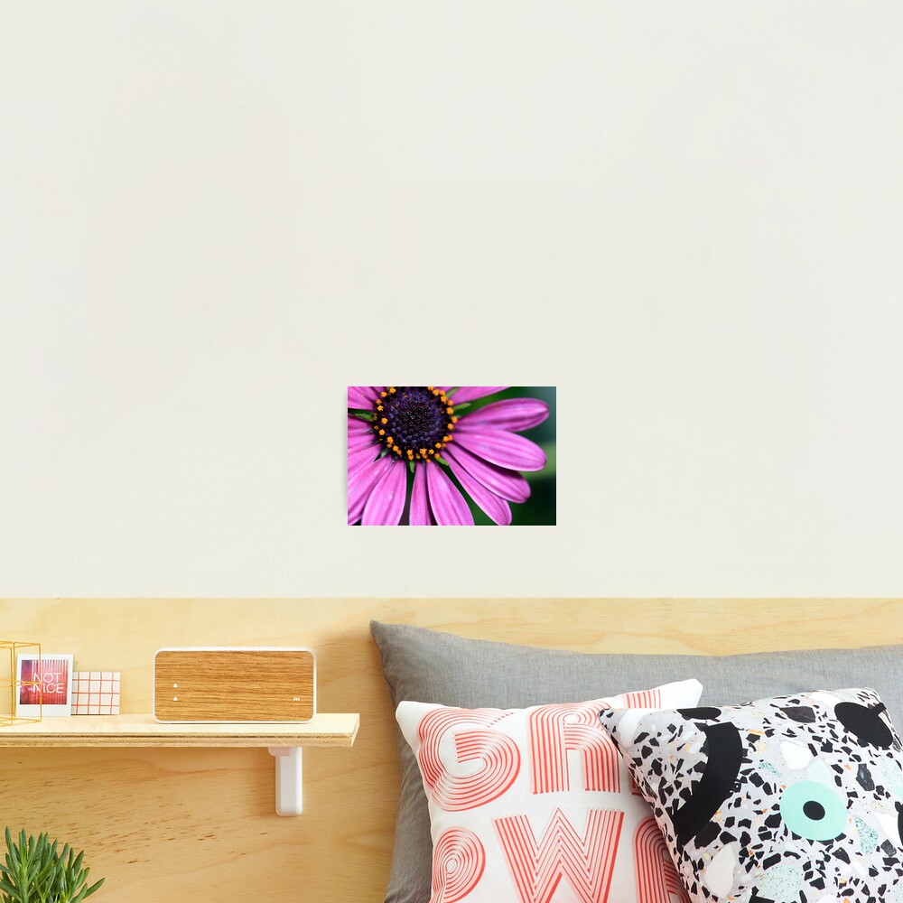 Item preview, Photographic Print designed and sold by jstoeber.