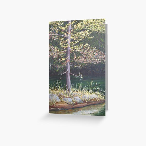 Pine on the Point Greeting Card