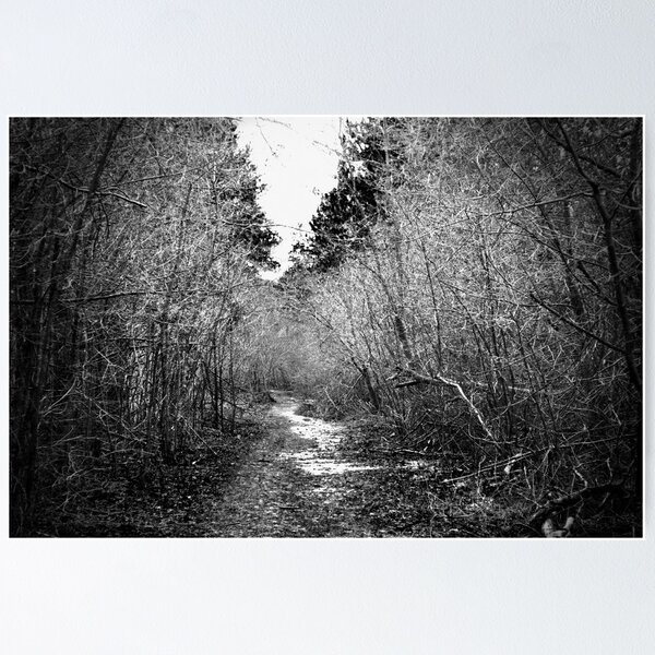 Item preview, The Winding Forest Path designed and sold by Ljartdesigns.