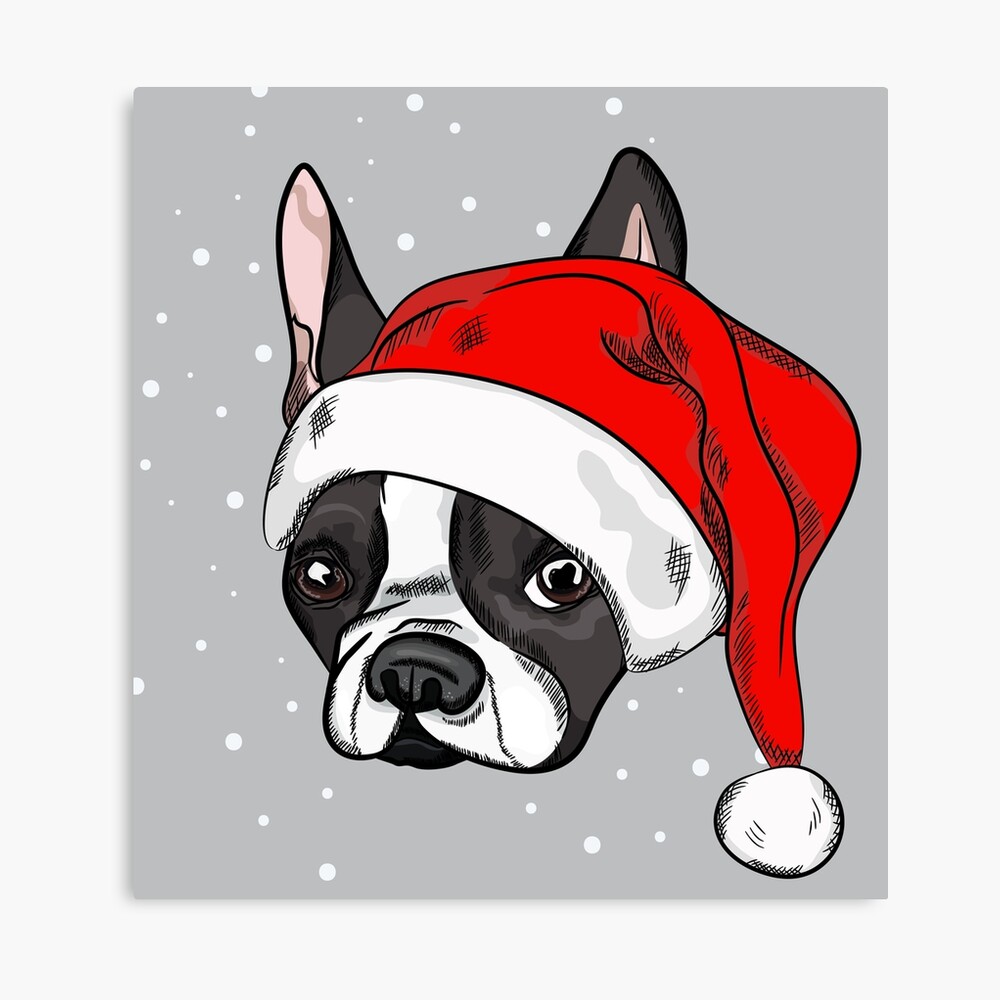 Impression Photo Bouledogue Francais Au Chapeau De Noel Par Torriphoto Redbubble