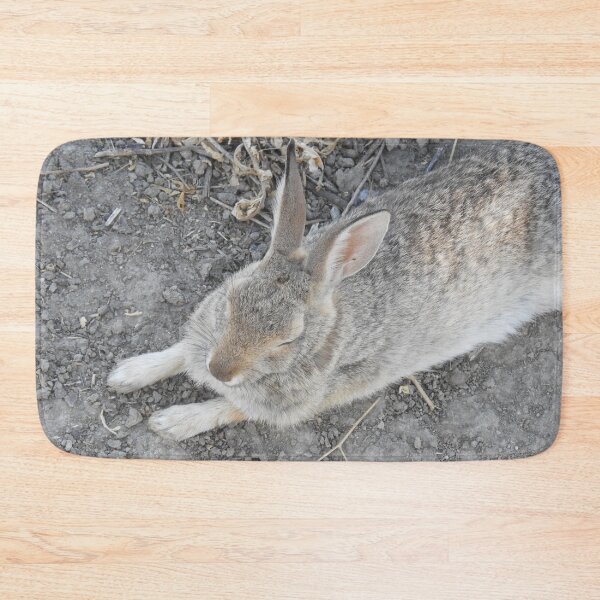 Item preview, Rabbit, Desert Cottontail, Wildlife designed and sold by Sandra O'Toole.