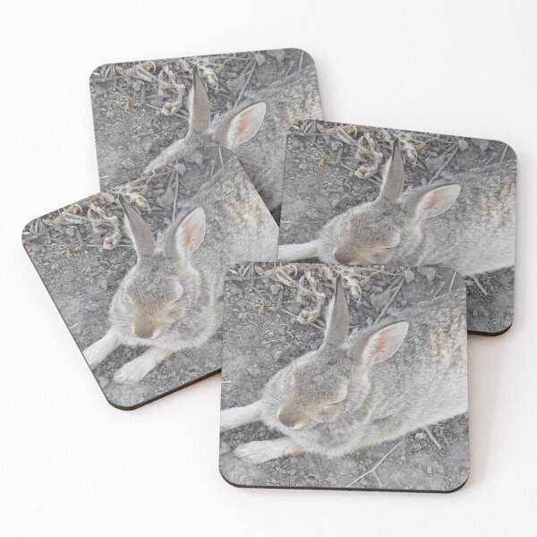 Item preview, Rabbit, Desert Cottontail, Wildlife designed and sold by Sandra O'Toole.