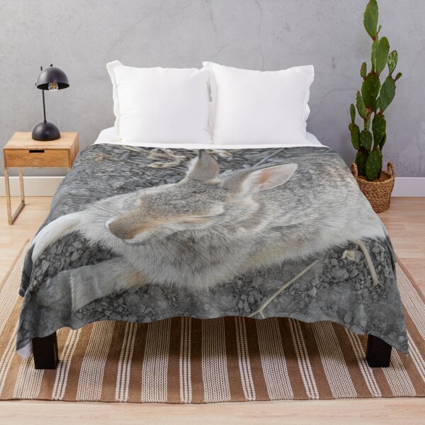 Item preview, Rabbit, Desert Cottontail, Wildlife designed and sold by Sandra O'Toole.