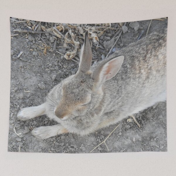 Item preview, Rabbit, Desert Cottontail, Wildlife designed and sold by Sandra O'Toole.