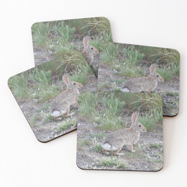 Item preview, Rabbits, Cottontail Rabbit, Wildlife designed and sold by Sandra O'Toole.