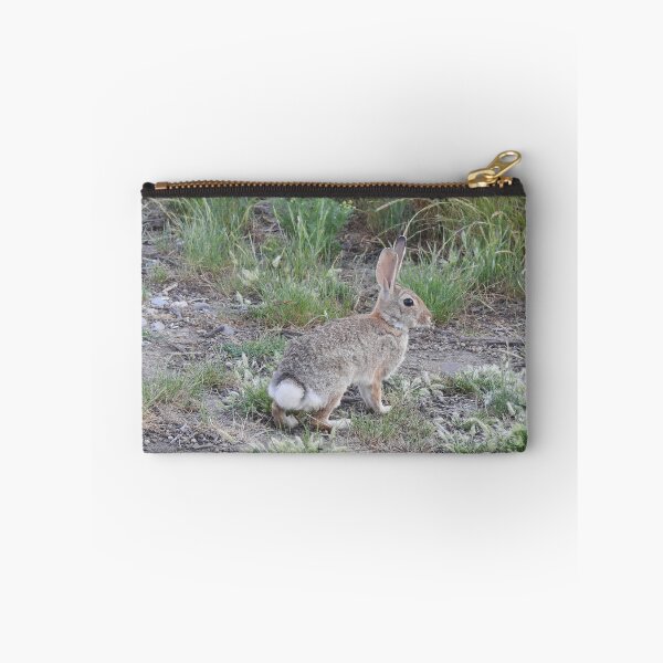Item preview, Rabbits, Cottontail Rabbit, Wildlife designed and sold by Sandra O'Toole.