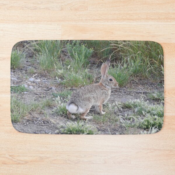 Item preview, Rabbits, Cottontail Rabbit, Wildlife designed and sold by Sandra O'Toole.